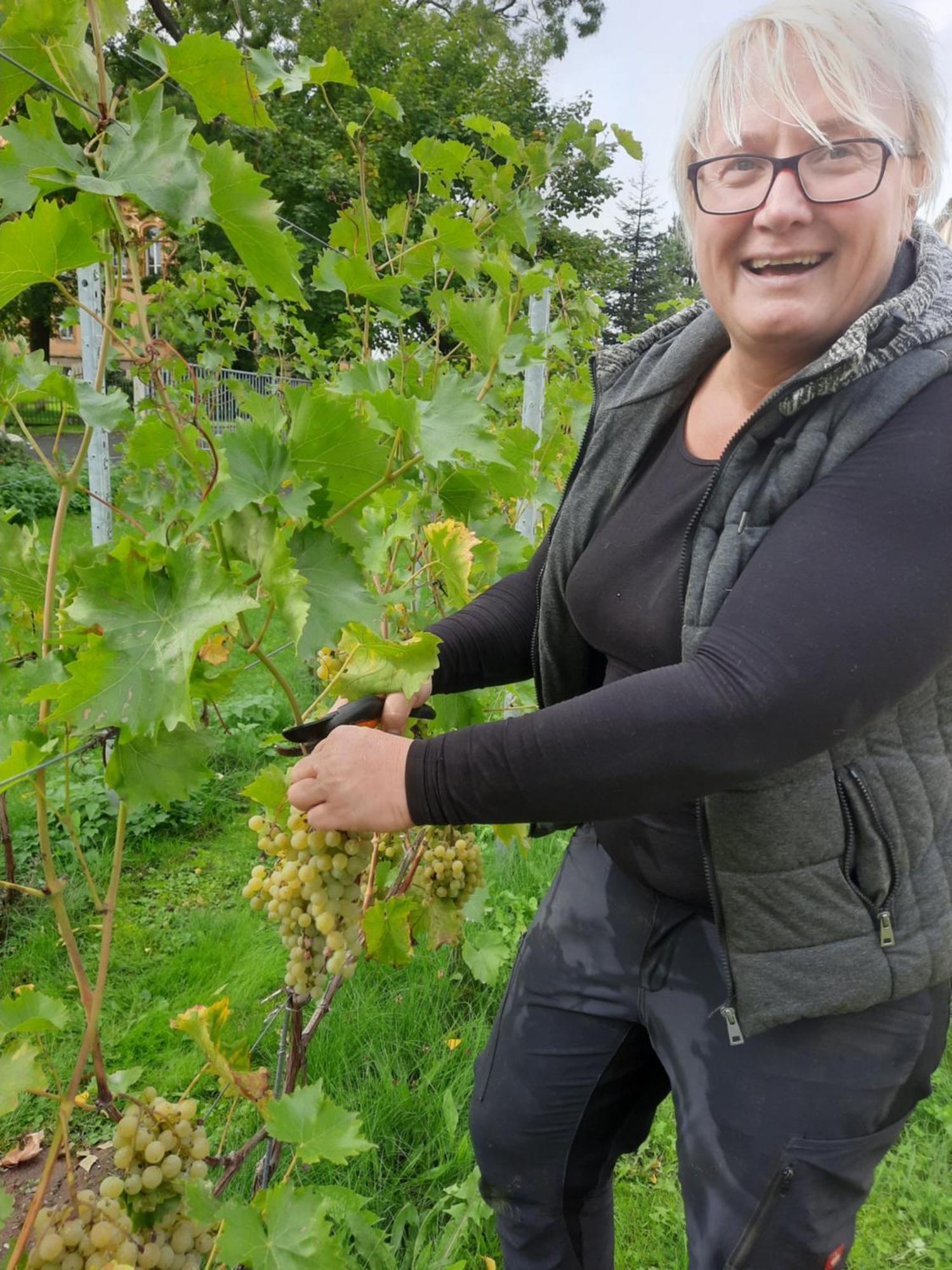 Kretzschau Ferienwohnung Weingut Lahmer August מראה חיצוני תמונה